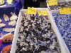 DSC00256 r.JPG