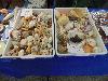 DSC00261 r.JPG