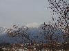 DSC00766 r.JPG